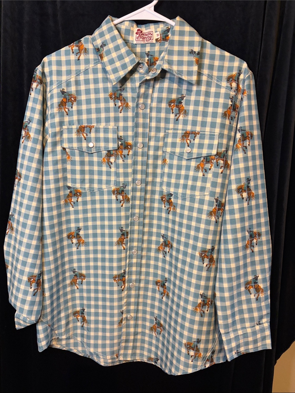 Howdy Hanny teal and Cream Check Western Rodeo Shirt